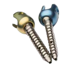 POLYAXIAL CEMENTED SCREW